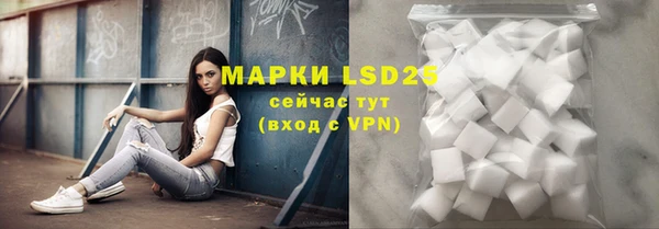 ГАЛЛЮЦИНОГЕННЫЕ ГРИБЫ Осинники