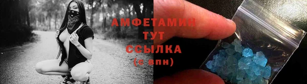 ГАЛЛЮЦИНОГЕННЫЕ ГРИБЫ Осинники