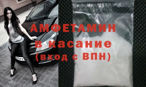 ГАЛЛЮЦИНОГЕННЫЕ ГРИБЫ Осинники