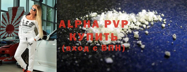 ГАЛЛЮЦИНОГЕННЫЕ ГРИБЫ Осинники