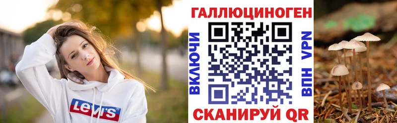где найти   Ардон  blacksprut как зайти  Псилоцибиновые грибы Psilocybine cubensis 